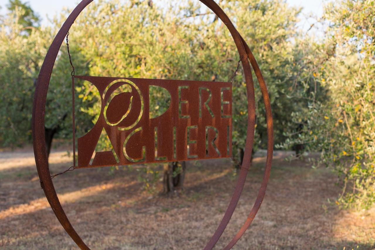 Podere Paglieri Apartments Montespertoli Ngoại thất bức ảnh
